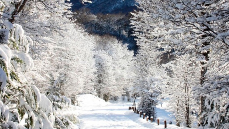 Quando cai neve em Ushuaia?