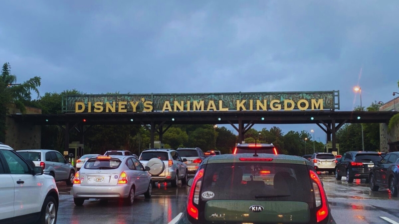 Preço estacionamento Animal Kingdom