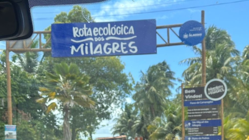 Rota Ecológica dos Milagres: Descubra o paraíso escondido de Alagoas