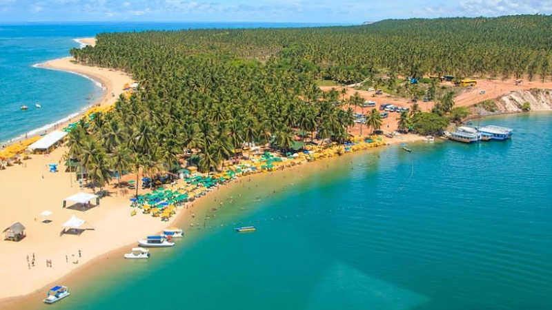Praia do Gunga: O Paraíso Alagoano que você precisa conhecer