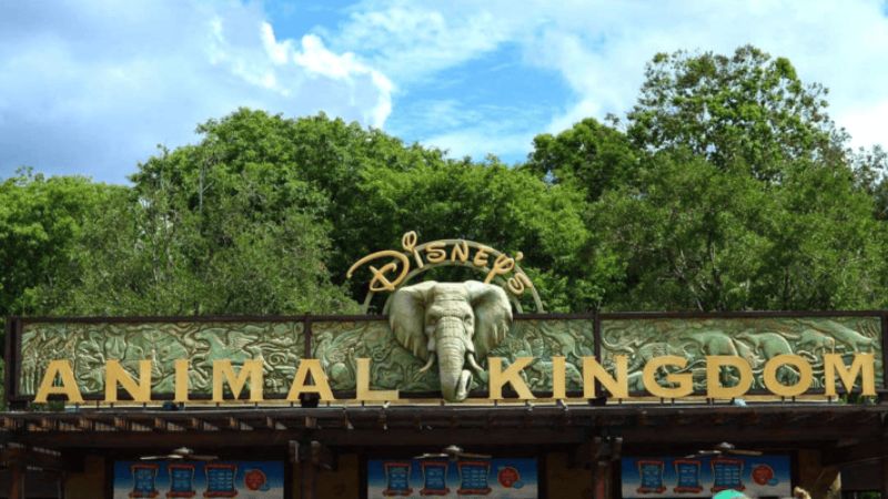 Disney confirma fim de DinoLand e anuncia nova área Pueblo Esperanza no Animal Kingdom