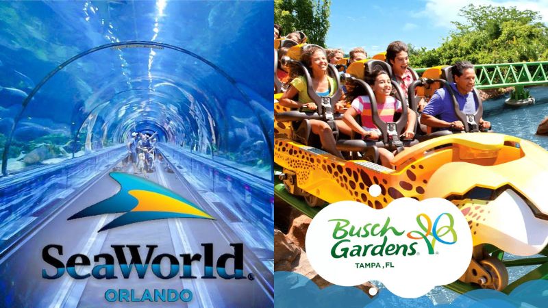 Como comprar ingresso para SeaWorld e Busch Gardens